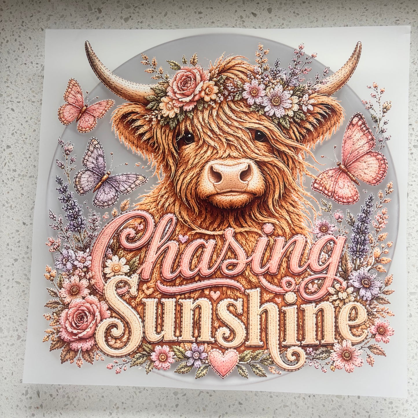 DTF Transfer - Chasing Sunshine