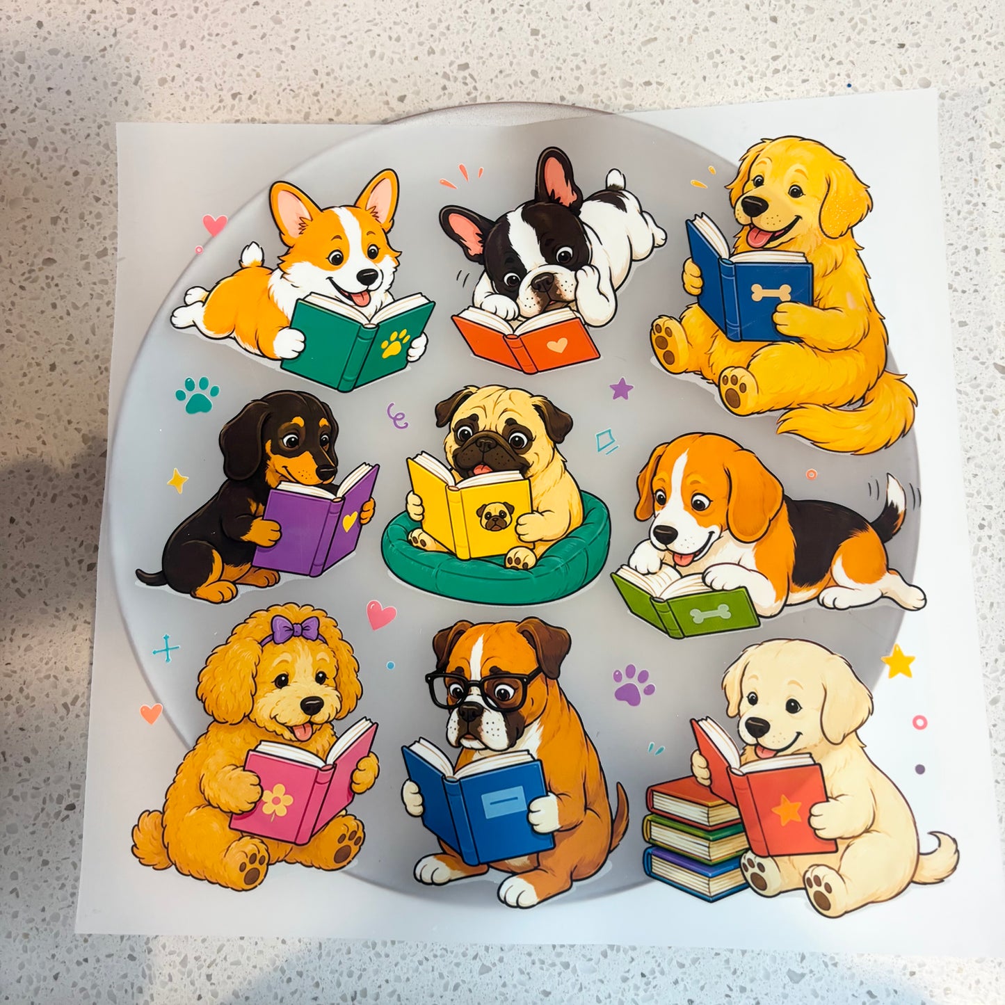 DTF Transfer - Puppies & Books
