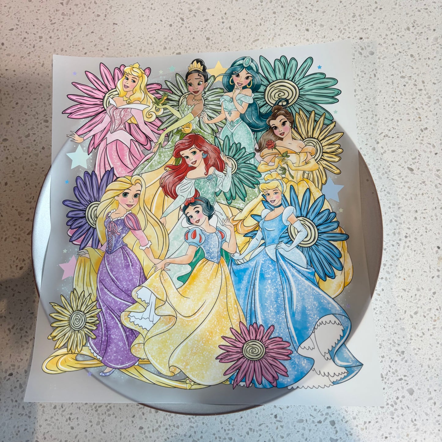 DTF Transfer - Princesses