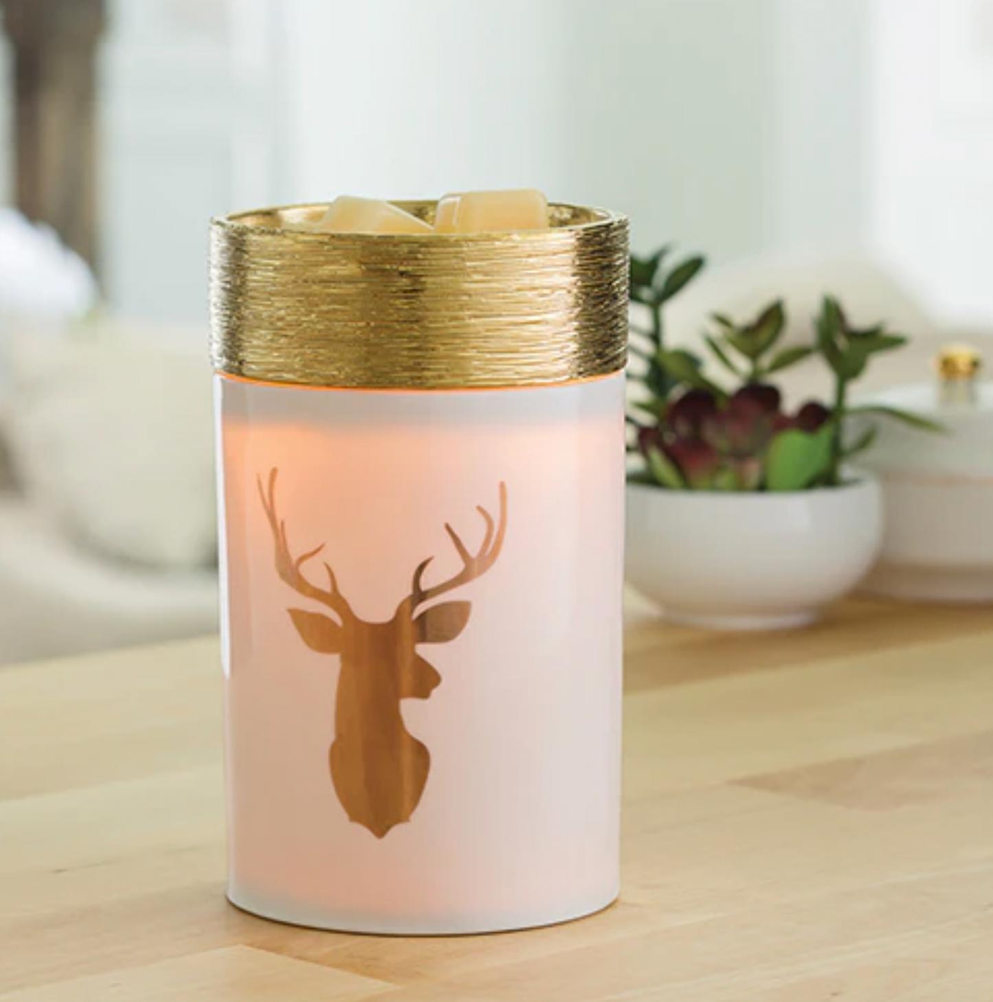 Deer Illumination Warmer