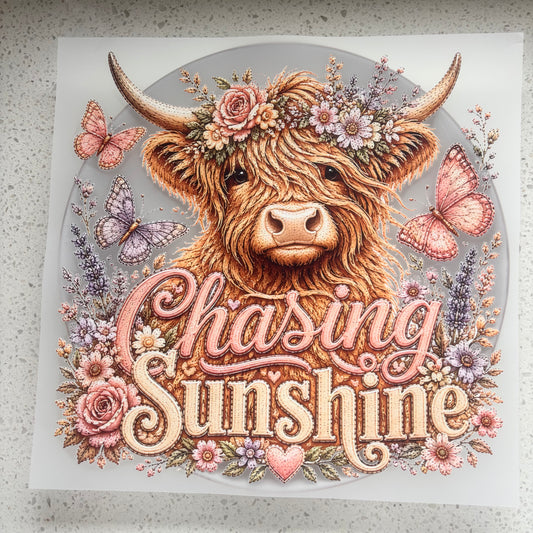 DTF Transfer - Chasing Sunshine