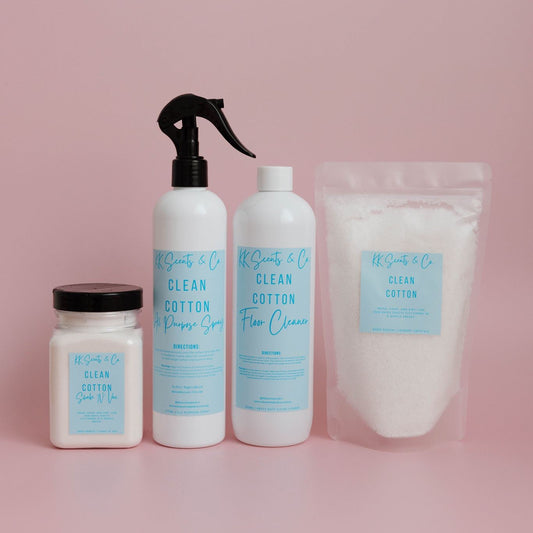home cleaning value starter park
