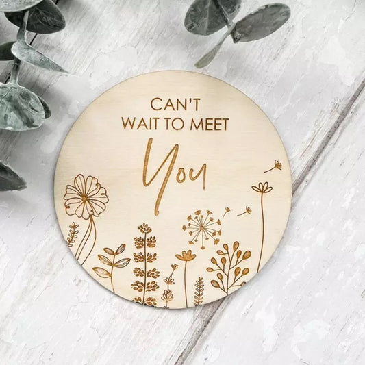 Can’t Wait To Meet You Plaque
